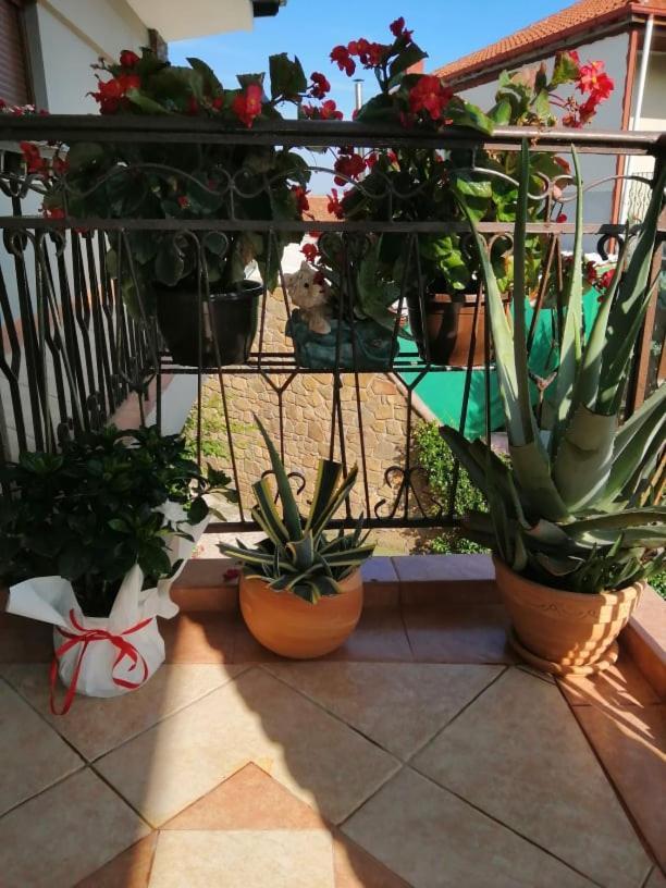 Guesthouse Athanasiou Káto Loutrákion Esterno foto