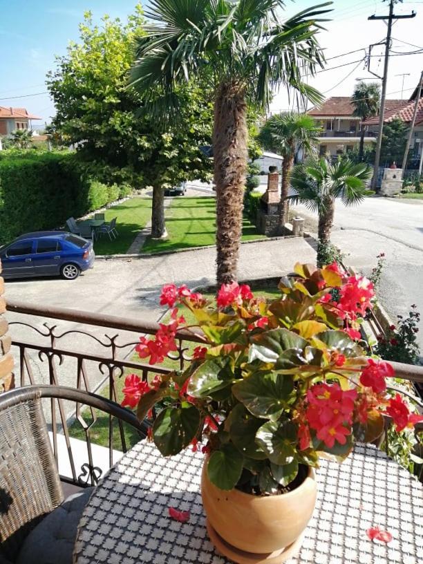 Guesthouse Athanasiou Káto Loutrákion Esterno foto